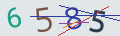 verifycode